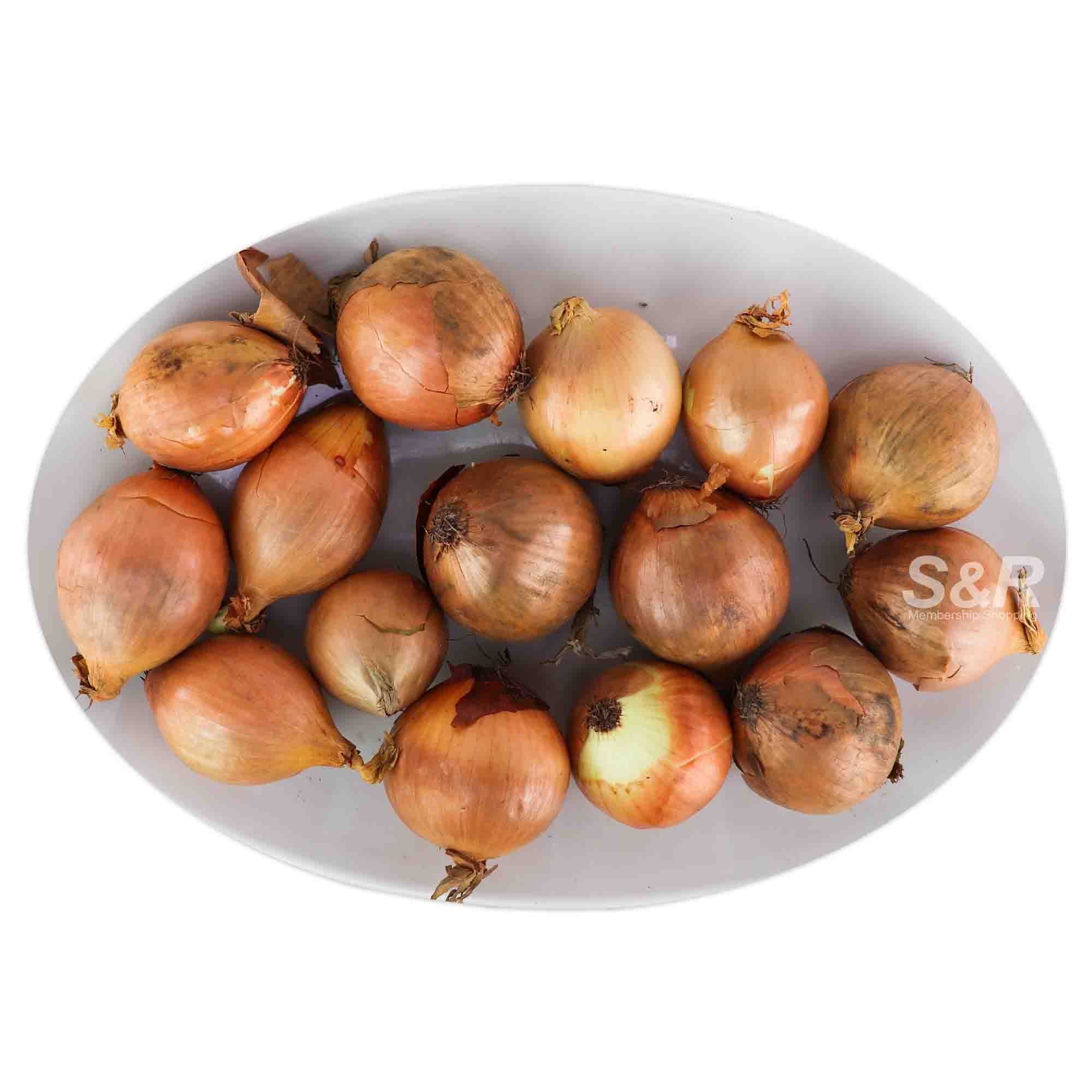 S&R White Onion approx. 3.2kg S&R White Onion approx. 3.2kg